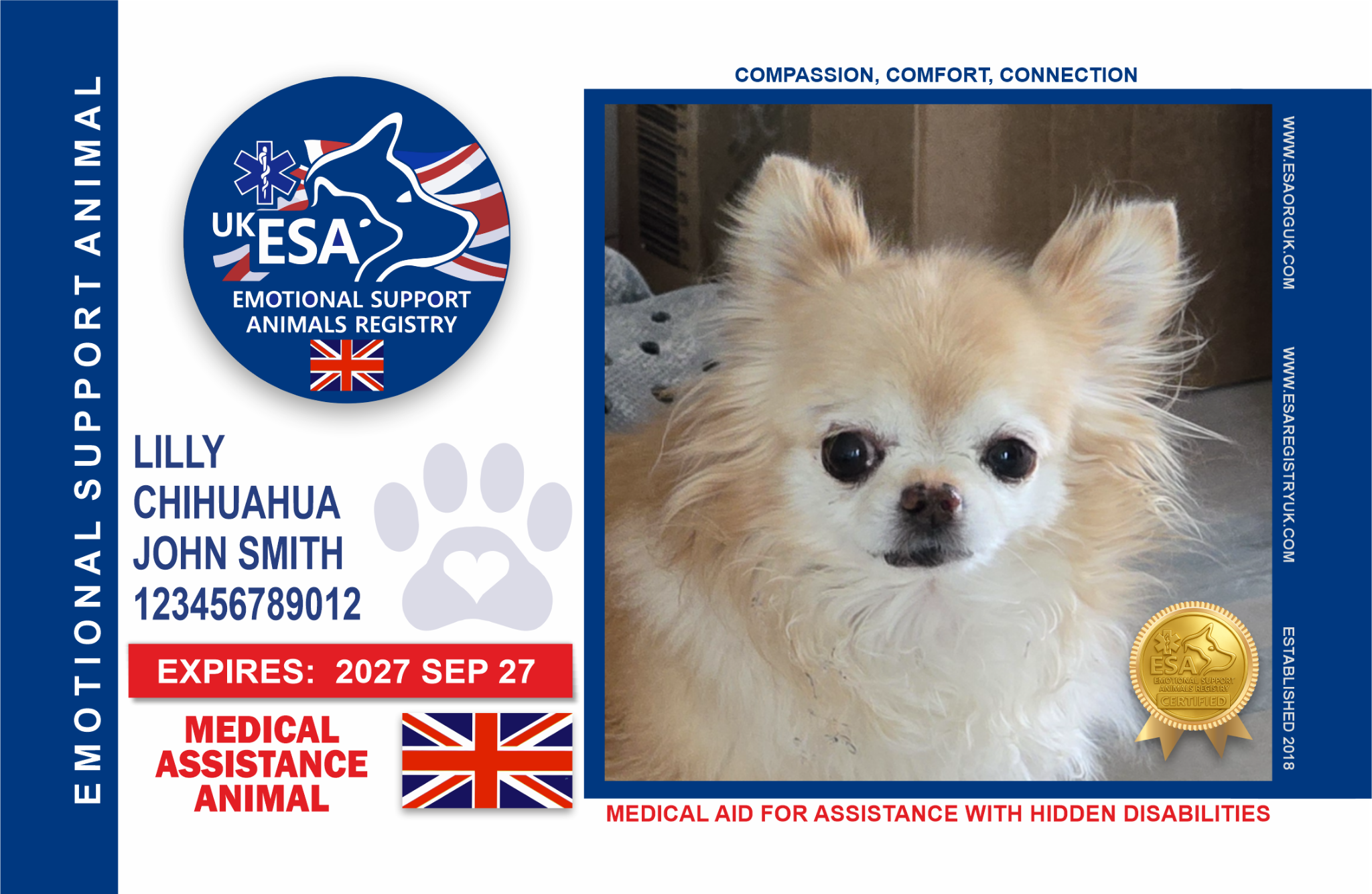 Standard ESA Registry UK identification card design