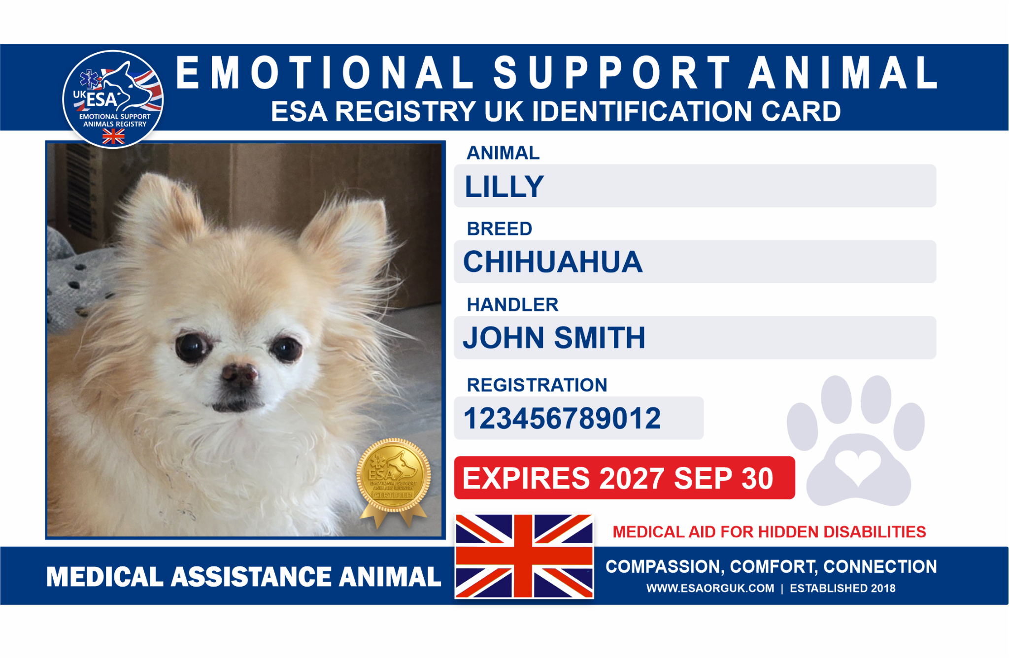 Enhanced ESA Registry UK identification card design